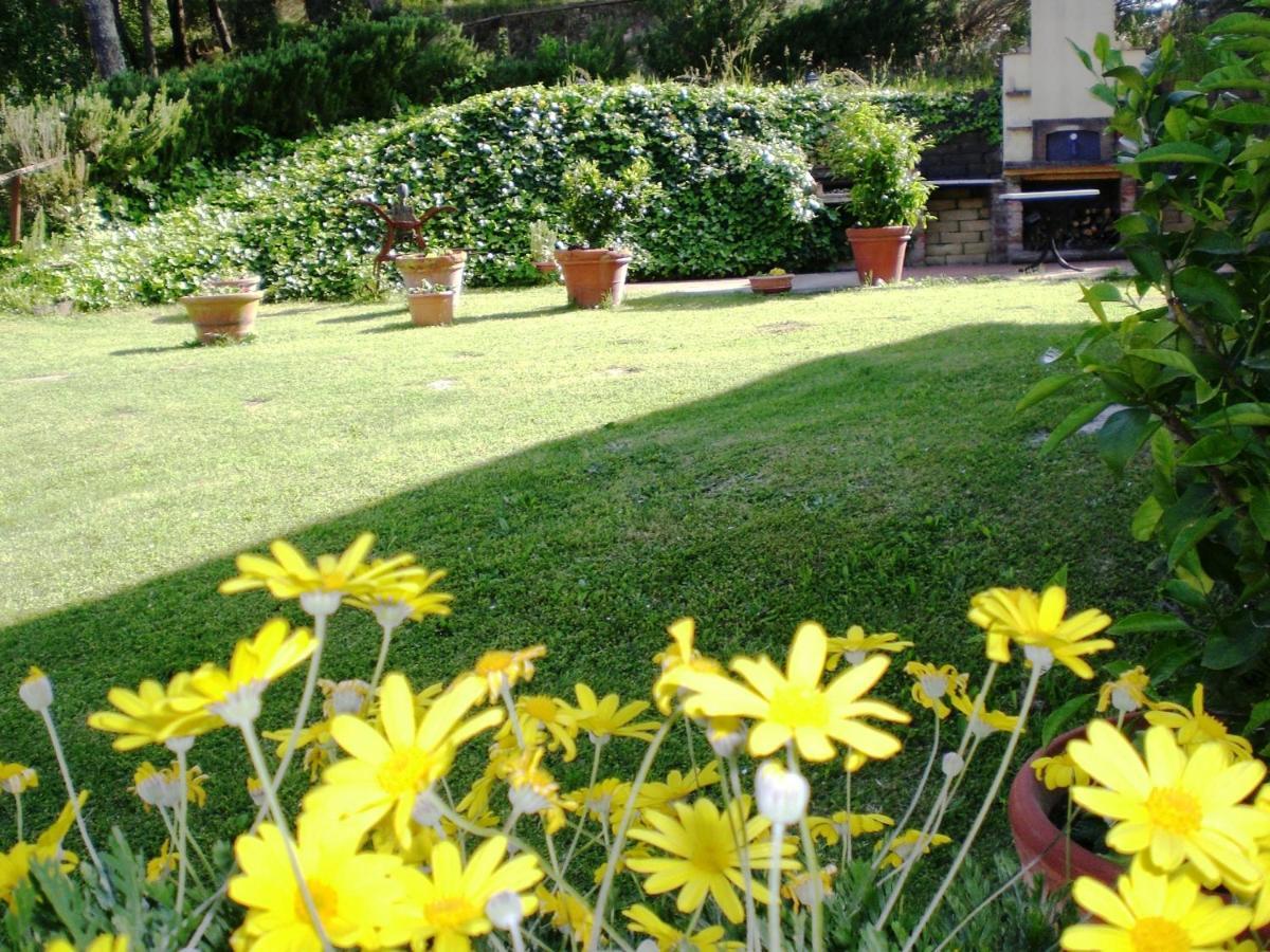 Agriturismo Santa Barbara 圣米尼亚托 外观 照片